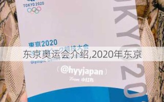 东京奥运会介绍,2020年东京