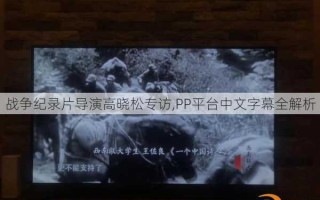 战争纪录片导演高晓松专访,PP平台中文字幕全解析