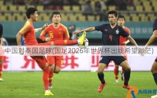 中国对泰国足球(国足2026年世界杯出线希望渺茫)